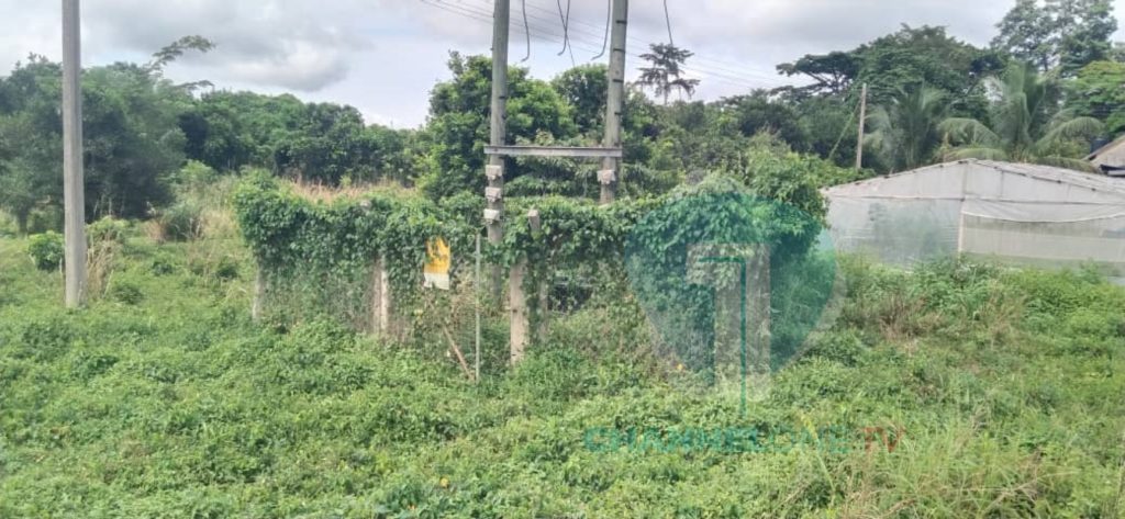 Easter Region: Unknown persons steal ECG transformer in Bunso 2 batch WhatsApp Image 2024 06 24 at 10.55.17 dded49bf Channel1 News Easter Region: Unknown persons steal ECG transformer in Bunso