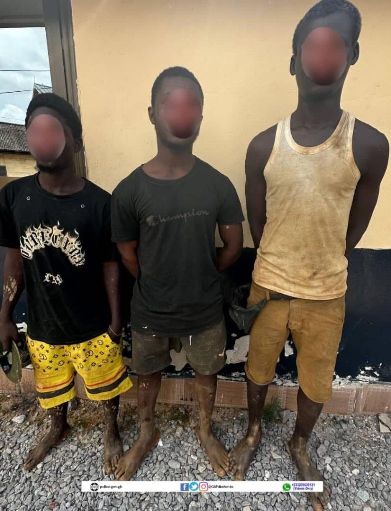 W/R: 7 Ghanaians, 4 Chinese arrested for illegal mining 2 IMG 20250401 WA0022 Channel1 News W/R: 7 Ghanaians, 4 Chinese arrested for illegal mining